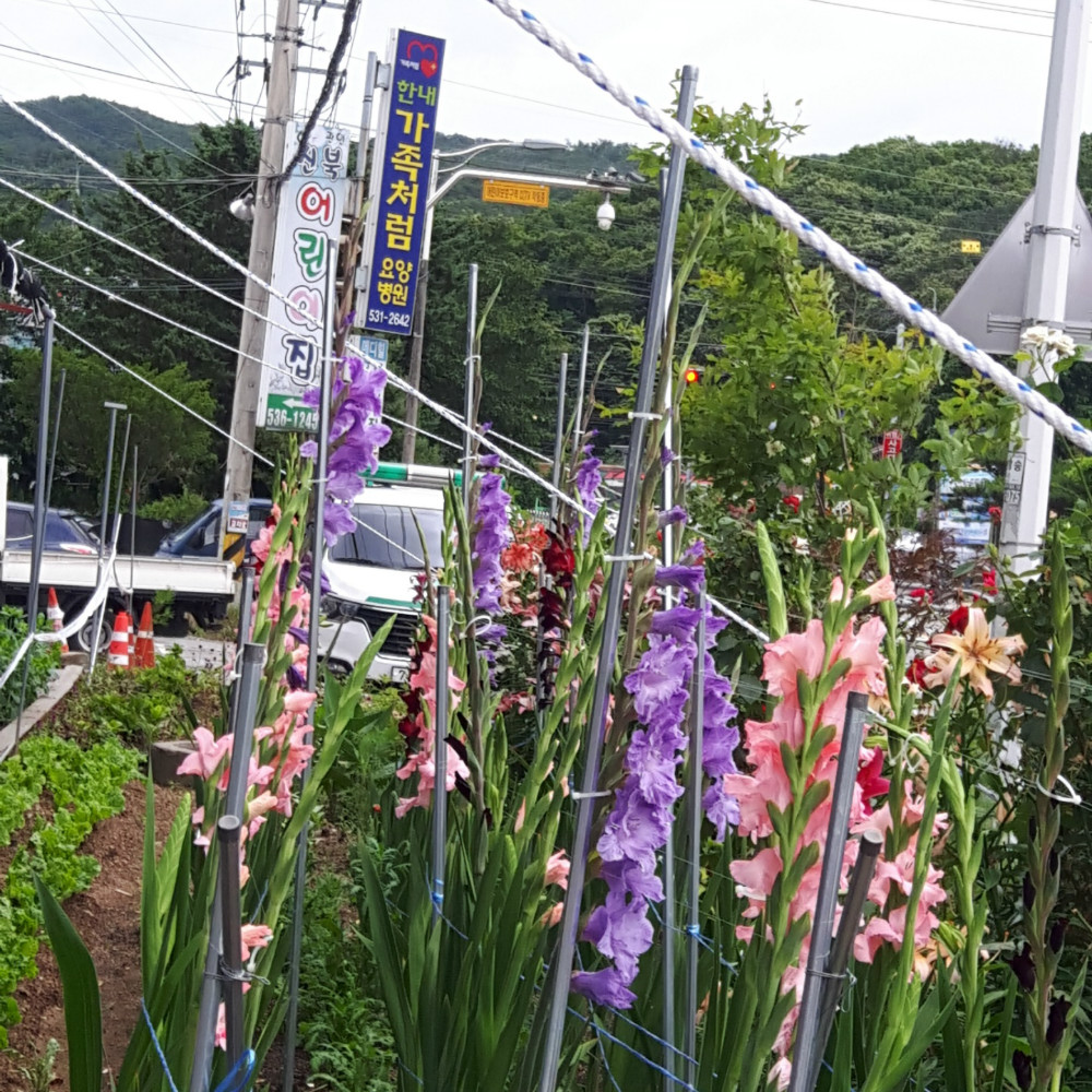 KakaoTalk_20200701_105154591.jpg